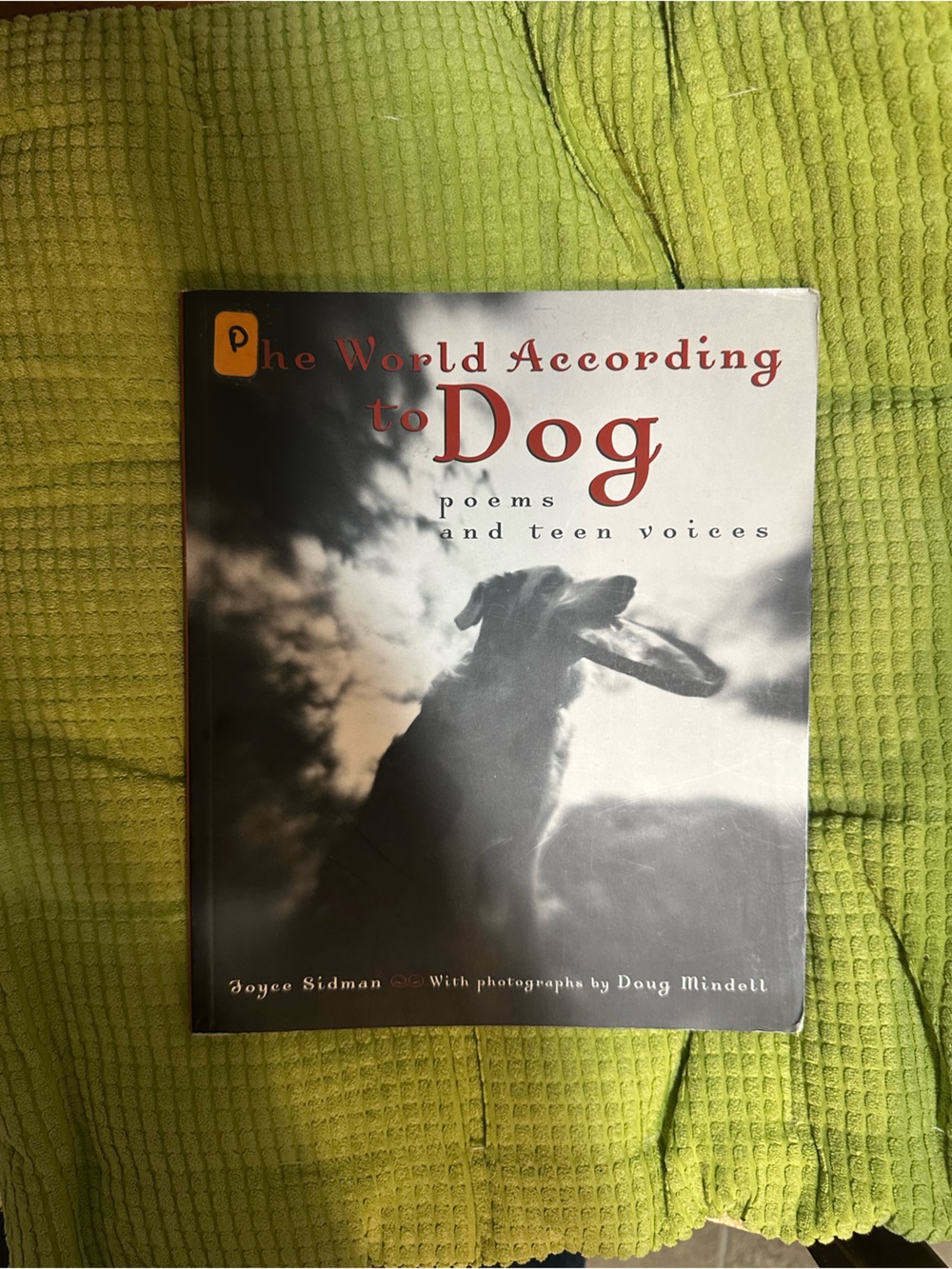 The World According to Dog — Gray Cover Book